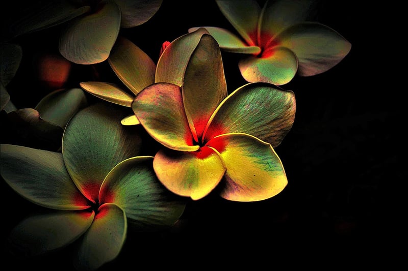 Plant-Inspired Sculpture